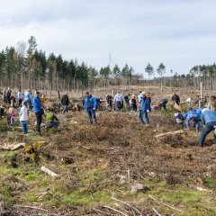 Pflanzaktion 18.03.2023