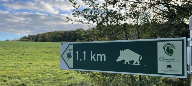 Wegweiser Wildschweinroute