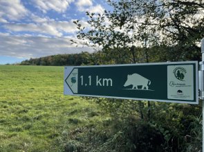 Wegweiser Wildschweinroute Wegweiser Wildschweinroute