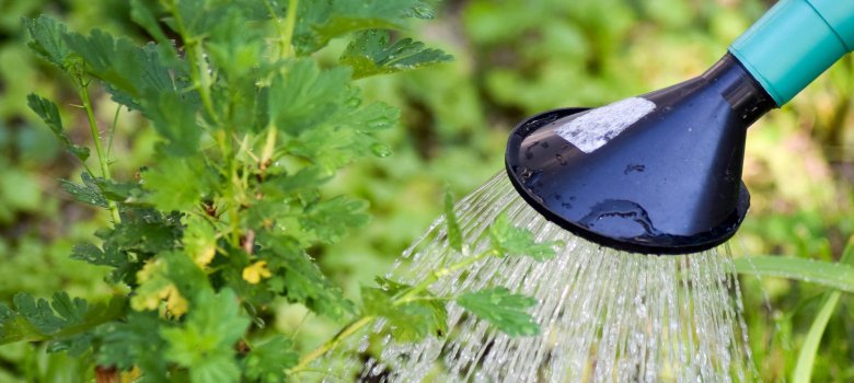 Gartenbewässerung