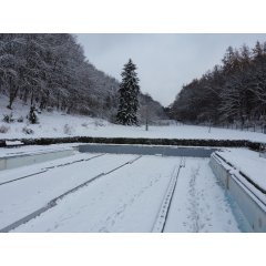 Beckenkopf Nichtschwimmer fertig