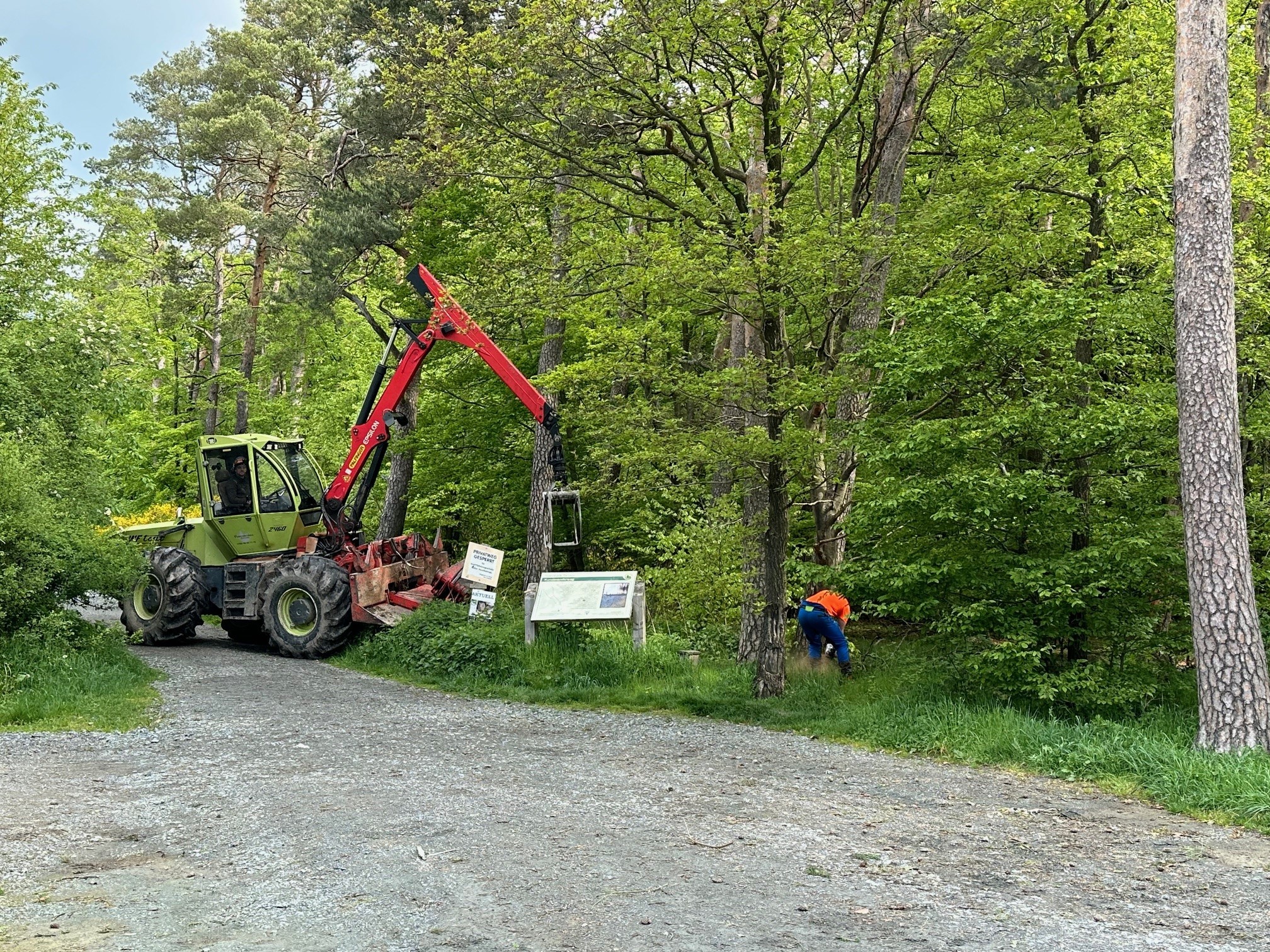 Baumfällarbeiten Baumfällarbeiten an der Jammerhecke