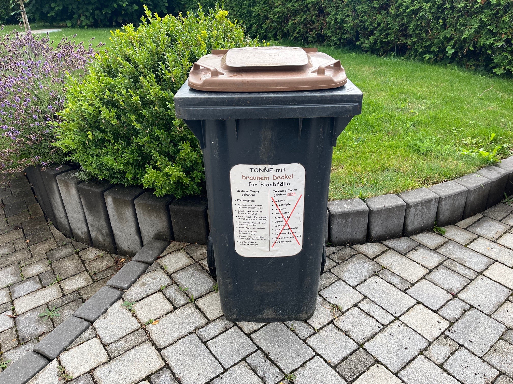 Biotonne Biotonne