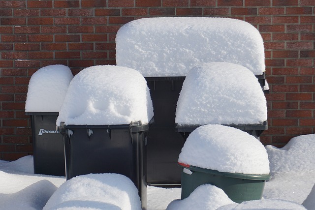 Leerung der Biotonne bei Frost Leerung der Biotonne bei Frost