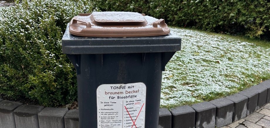 Biotonne bei Frost