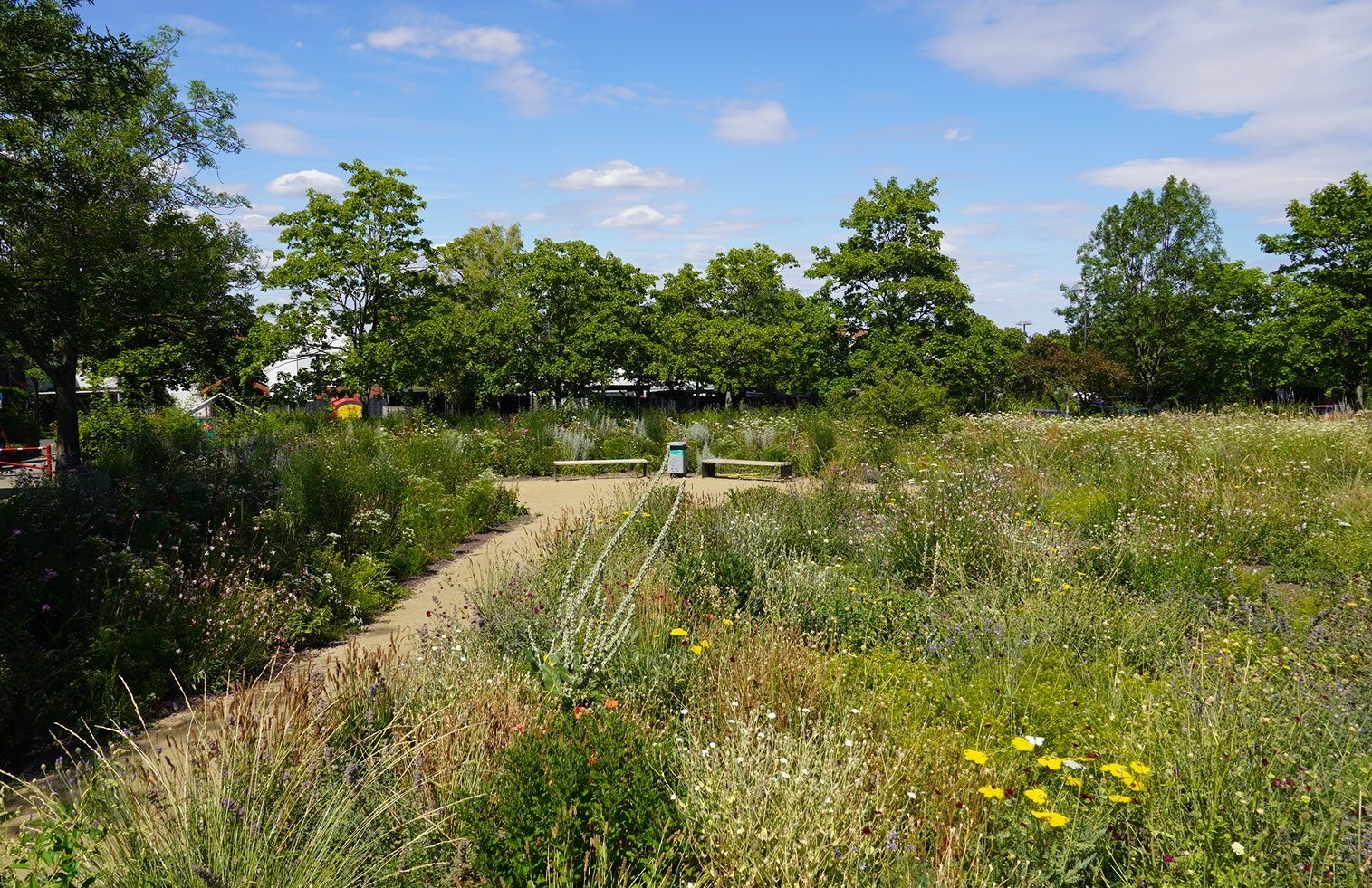 Staudengarten Walter-Lübcke-Platz Staudengarten Walter-Lübcke-Platz