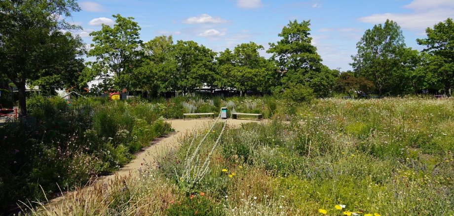 Staudengarten Walter-Lübcke-Platz