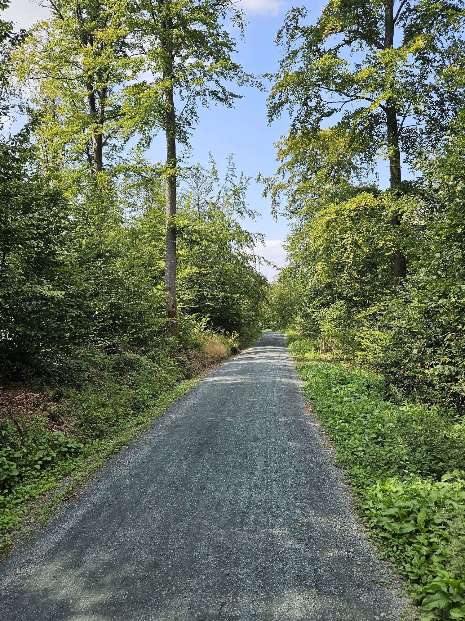 Jammerhecken-Rundweg Rod am Berg Jammerhecken-Rundweg Rod am Berg