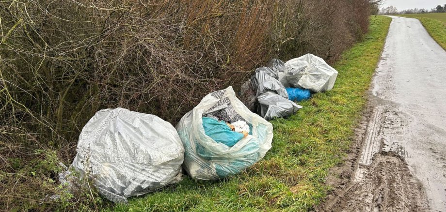 Illegale Müllablagerungen im Stadtgebiet