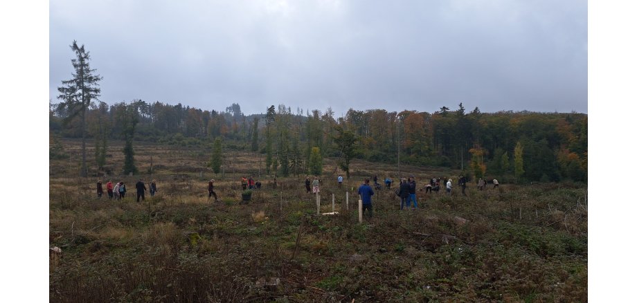 Pflanzaktion im Stadtwald Pflanzaktion im Stadtwald