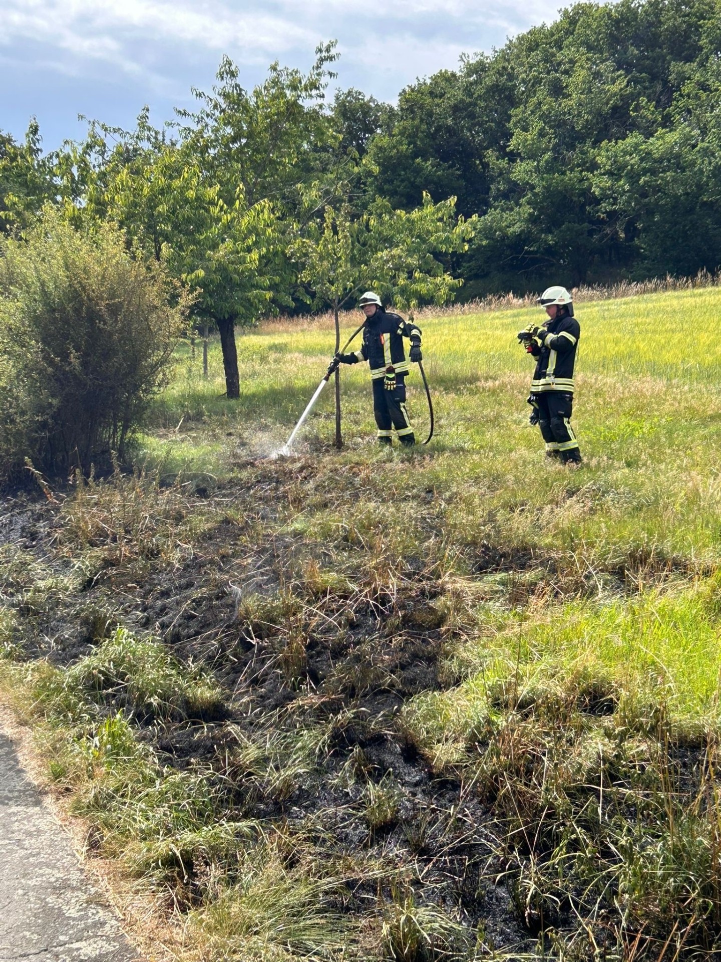 Waldbrandgefahr Waldbrandgefahr