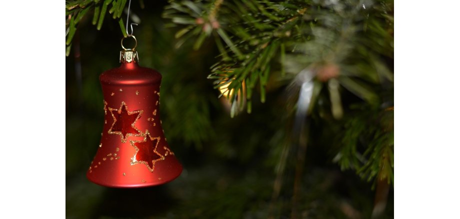 Abholung der Weihnachtsbäume Abholung der Weihnachtsbäume