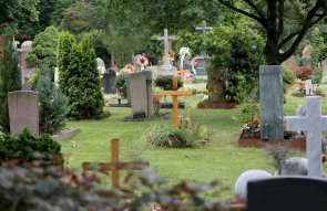 Friedhof 7 Friehof 7