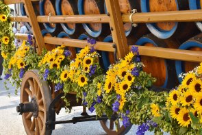 Festzug Ein mit Sonnenblumen dekorierter Festwagen